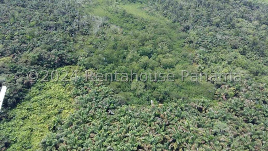 Land for Sale in Bocas Del Toro Bocas del Toro 01001